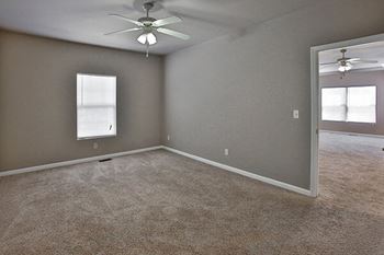Ceiling fans